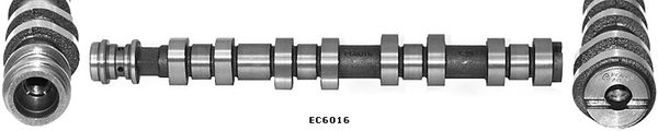 WILMINK GROUP WG1796158